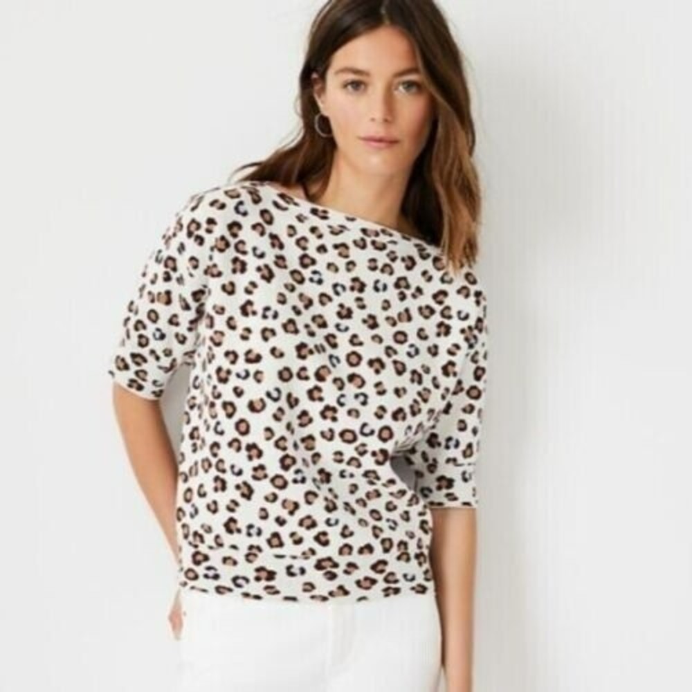Ann Taylor Leopard Sweater Sz S White Brown Blue Boat Neck